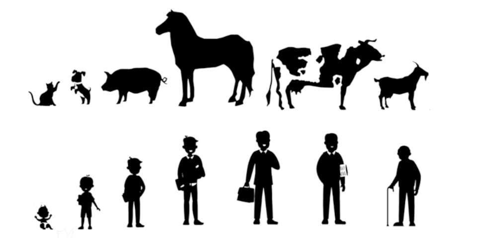 Schattenabbildung verschiedener Menschen und Tiere.
