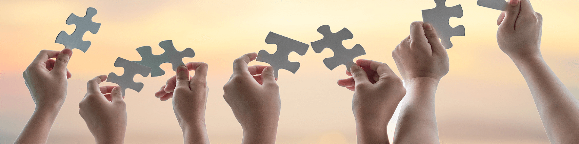 Hands holding puzzle pieces in the air