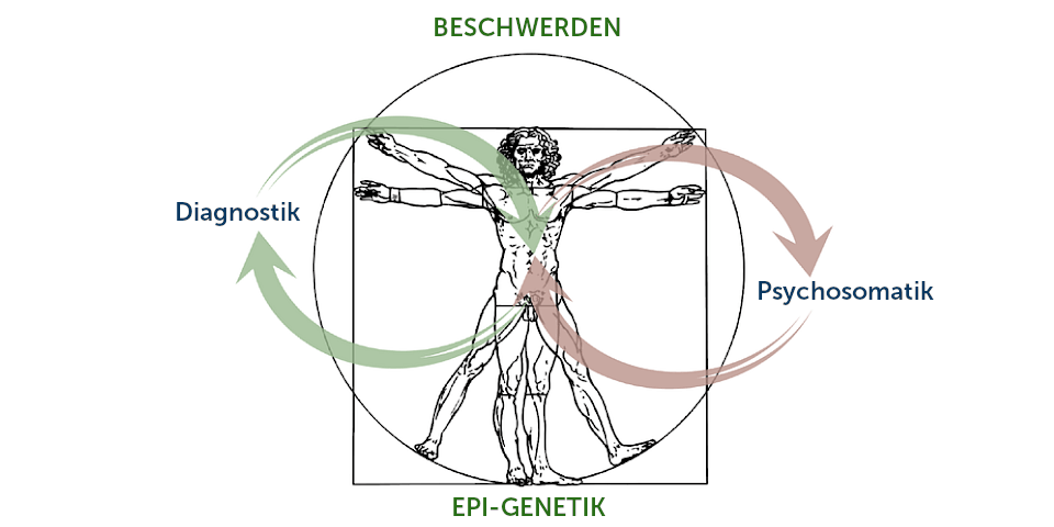 Körpermodell nach Vincent Van Gogh in der Mitte, oben ‚Beschwerden‘, unten ‚Ep-Genetik‘, im Austausch mit den Bereichen links: Konventionelle Diagnostik (Rezeptor, Zelle, Gewebe, Organ) und Psychosomatik (Region, Person, Kontakt, Lebensraum)