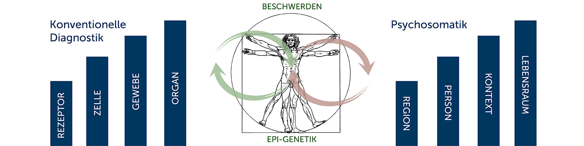 Körpermodell nach Vincent Van Gogh in der Mitte, oben ‚Beschwerden‘, unten ‚Ep-Genetik‘, im Austausch mit den Bereichen links: Konventionelle Diagnostik (Rezeptor, Zelle, Gewebe, Organ) und Psychosomatik (Region, Person, Kontakt, Lebensraum)