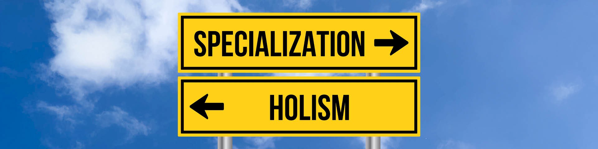 blauer Himmel mit weißen Wolken, davor zwei gelbe Straßenschilder: eines mit „Specialization“, eines mit „Holism“, die nach rechts und links zeigen.
