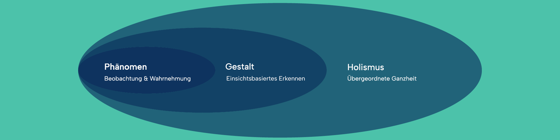 Three different blue circles arranged within each other on a green background: phenomenon (observation & perception), gestalt (insight-based recognition), holism (overarching wholeness) – symbolic of viewpoints and human scientific aspects of homeopathic theory.