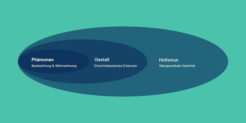Three different blue circles arranged within each other on a green background: phenomenon (observation & perception), gestalt (insight-based recognition), holism (overarching wholeness) – symbolic of viewpoints and human scientific aspects of homeopathic theory.